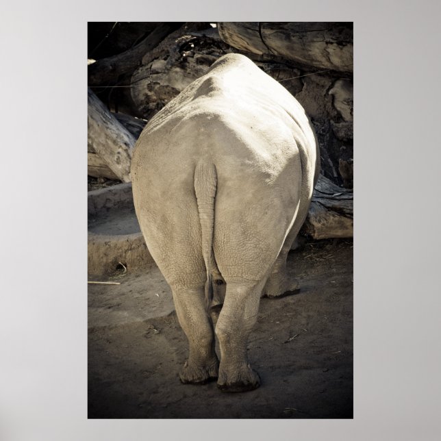 Póster Bumbum Rhino (Frente)