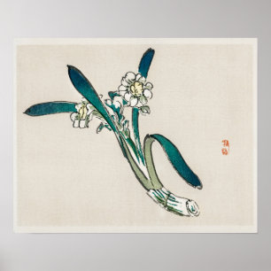 Poster Bunchflower Daffodil, por Kōno Bairei (1844-1895)