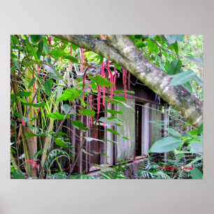 Poster Bungalow de Elvis Presley