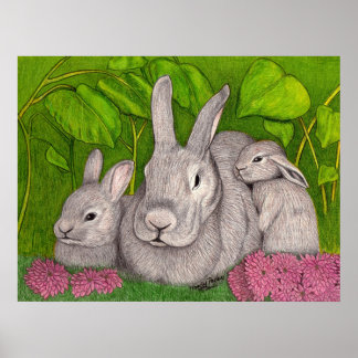 Póster Bunnies