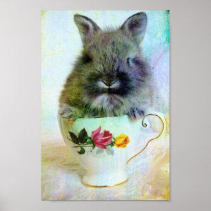 Póster Bunny do Teacup