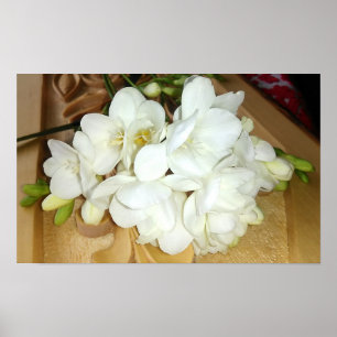 Póster Buquê branco do Freesia