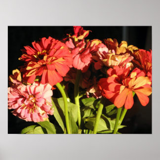 Póster Buquê Brooklyn