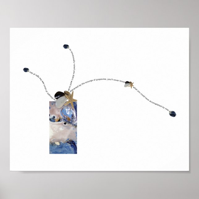 Poster Buquê costeiro da arte poema visual das conchas (Frente)