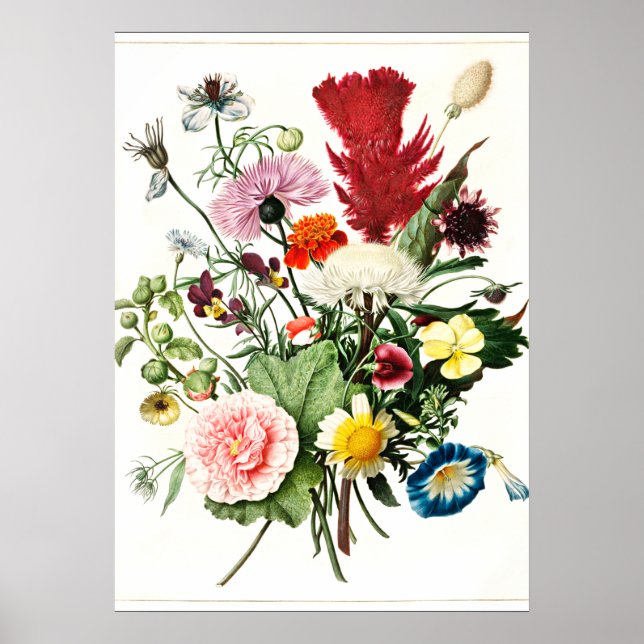 Poster Buquê da ilustração de safra das Flores (Frente)