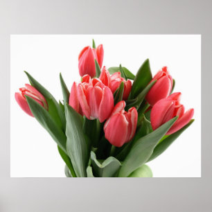 Póster Buquê da tulipa