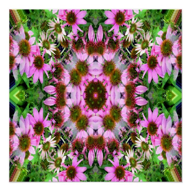 Póster Buquê de Echanicea... (Frente)