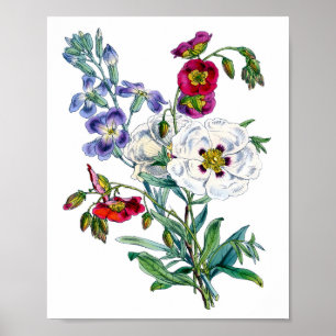 Poster Buquê de Flores em Aquarela Vintage