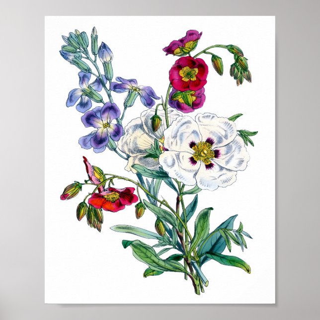 Poster Buquê de Flores em Aquarela Vintage (Frente)