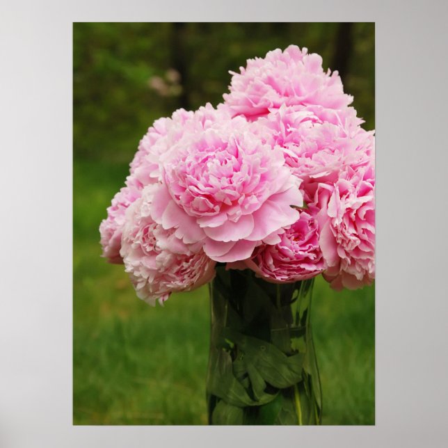 Póster Buquê de Peony Rosa (Frente)
