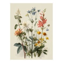 Buquê de Prado de Flores Silvestres