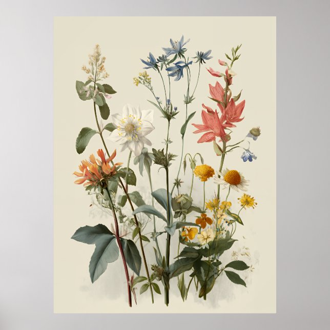 Poster Buquê de Prado de Flores Silvestres (Frente)