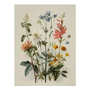 Póster Buquê de Prado de Flores Silvestres