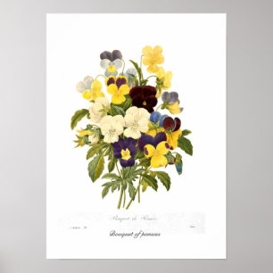 Póster Buquê dos pansies