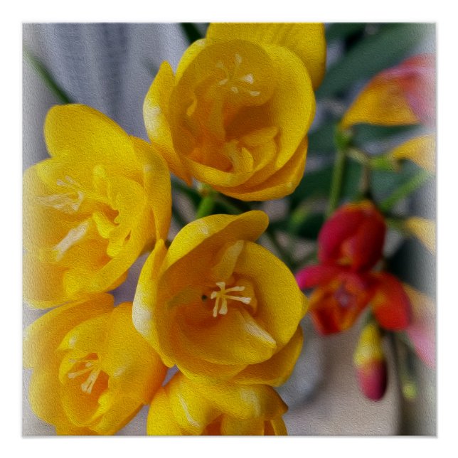 Póster buquê freesias (Frente)