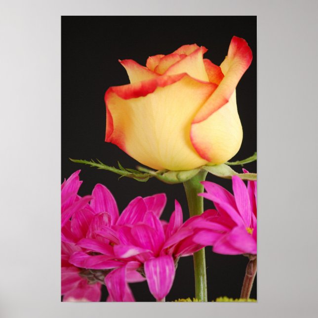 Poster Buquê primavera (Frente)