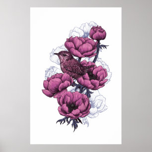 Poster Buquê Wren