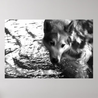 Poster Buraco de Água