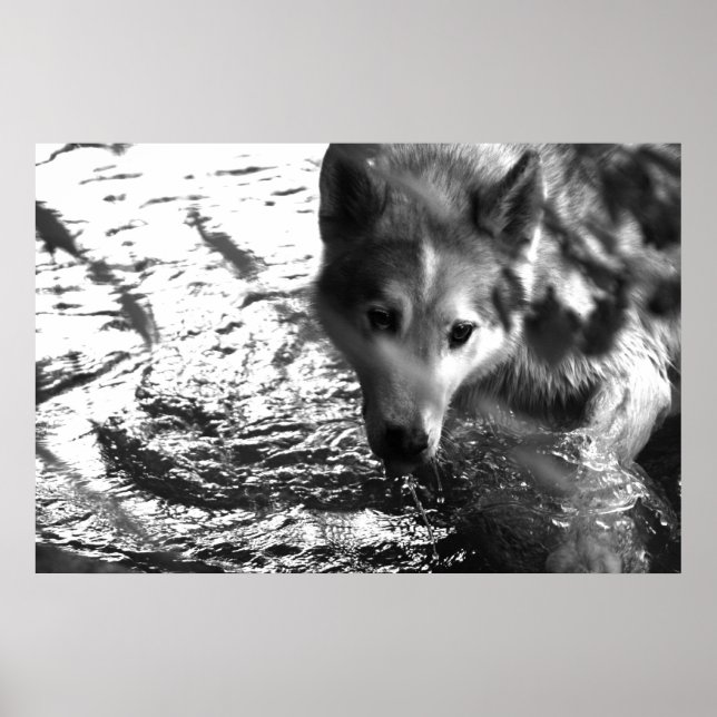 Poster Buraco de Água (Frente)