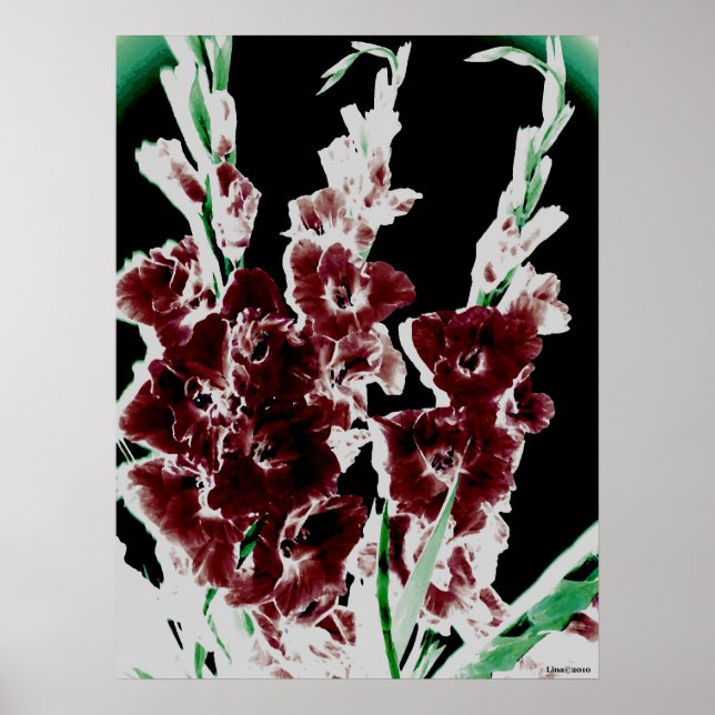 Póster Burgundy Gladiolas por Lina (Frente)