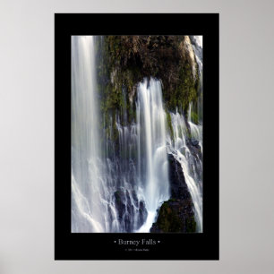 Póster Burney cai (a cor)
