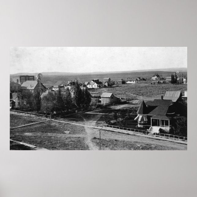 Poster Burns, Oregon Town Birds Ver Fotografia (Frente)