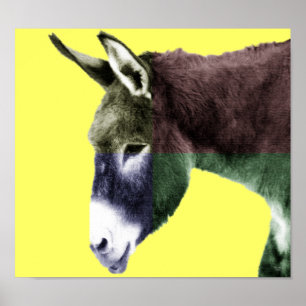 Poster Burro de muitas cores