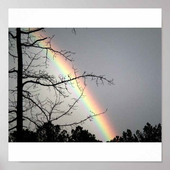 Póster Buscando o Rainbows (Frente)