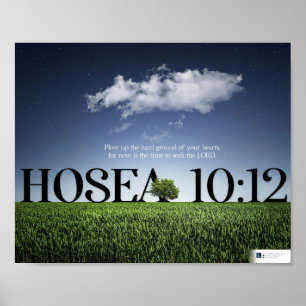 Poster Buscar o Senhor (Hosea 10:12)