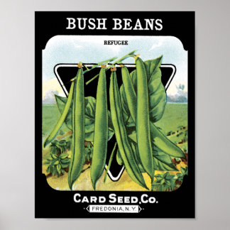 Póster Bush Beans Card Seed Co. pacote Vintage Fredonia