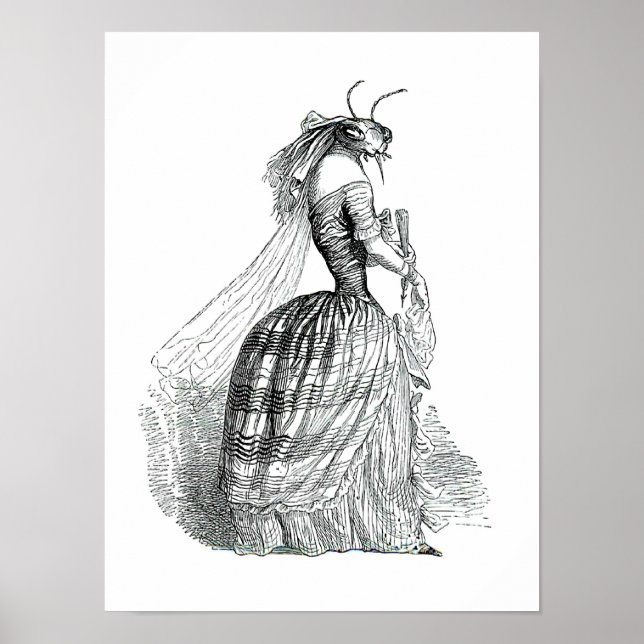 Póster Bustle do inseto (Frente)