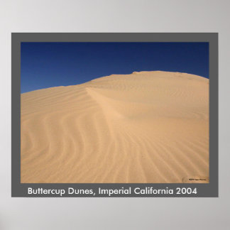 Poster ButterCup Dunes