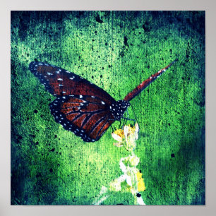 Póster Butterfly