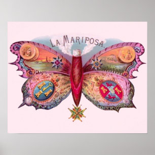Póster Butterfly Cigar Antique Painting