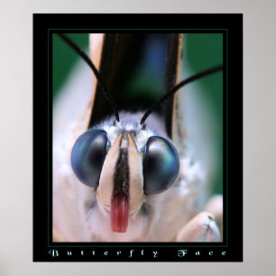 Póster Butterfly Face