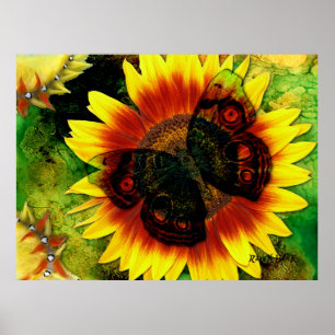 Póster Butterfly Flower