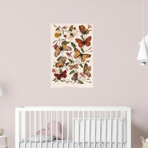 Poster Butterfly & Moth por Paul Gervais