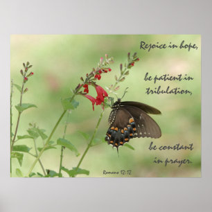 Poster Butterfly on Wildflowers, Verse Romans 12:12