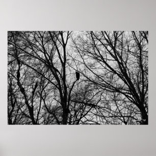 Póster Buzzard Silhouette