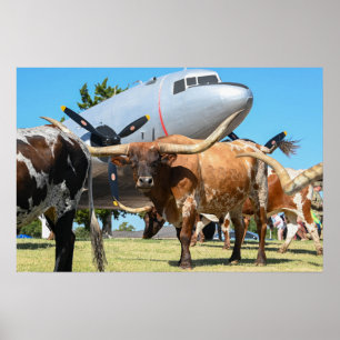 Poster C-47 Skytrem no Texas