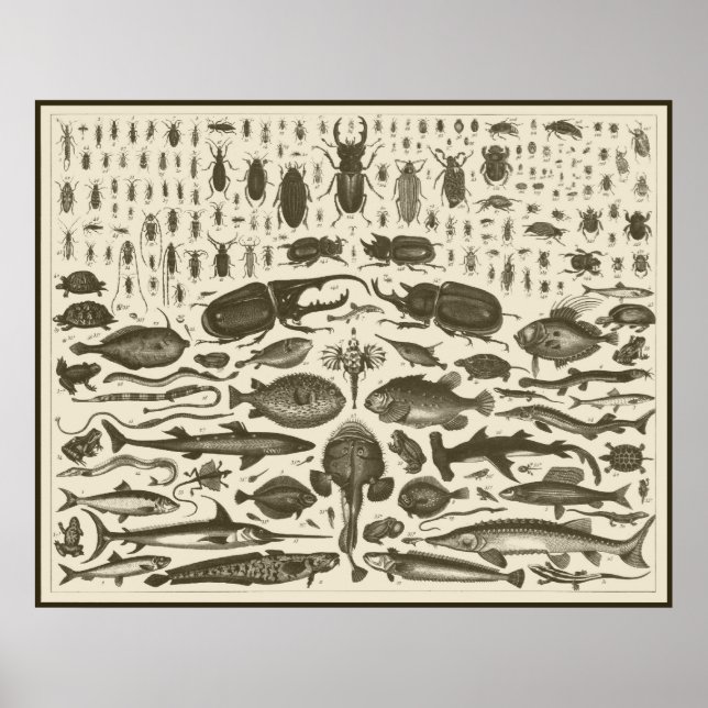 PÓSTER C R I T R S (Frente)