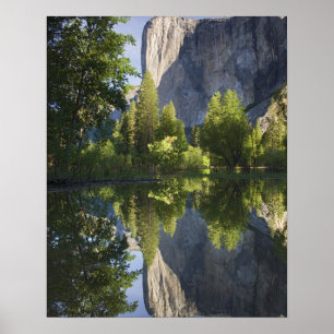 Póster CA, Parque Nacional de Yosemite, El Capitan reflet