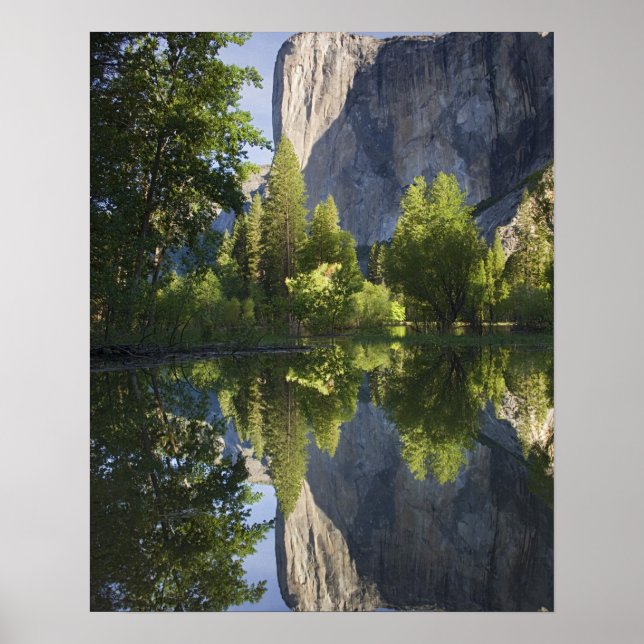 Póster CA, Parque Nacional de Yosemite, El Capitan reflet (Frente)