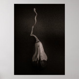Poster Cabaças Nº 16
