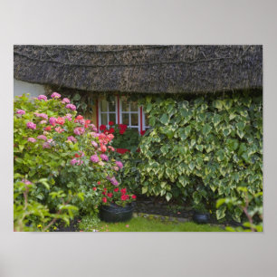 Póster Cabana de colmo, Adare, Condado de Limerick,
