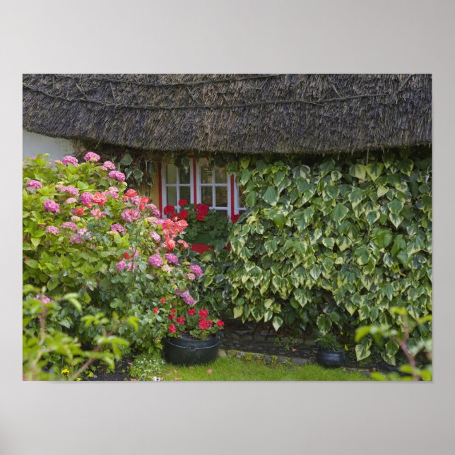 Póster Cabana de colmo, Adare, Condado de Limerick, (Frente)