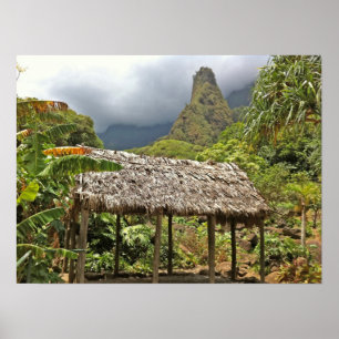 Poster Cabana no parque estadual do vale de Iao, Maui,