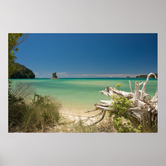 Poster Cabeça (Frente)