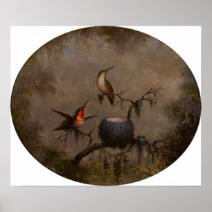 Poster Cabeça - Aves E Seu Ninho 1863