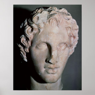 Póster Cabeça de Alexander o excelente